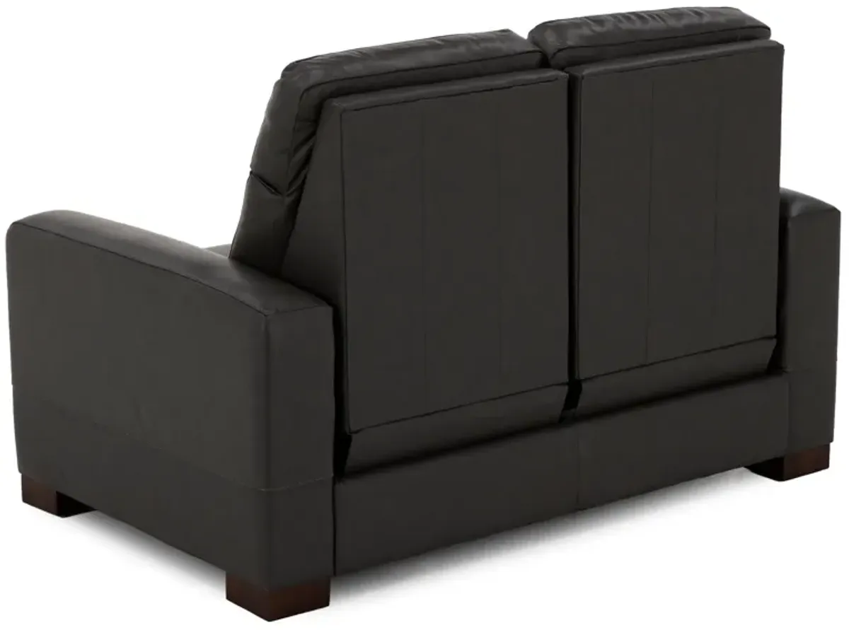 Acadia Leather Power Headrest Zero Gravity Reclining Loveseat in Shitake