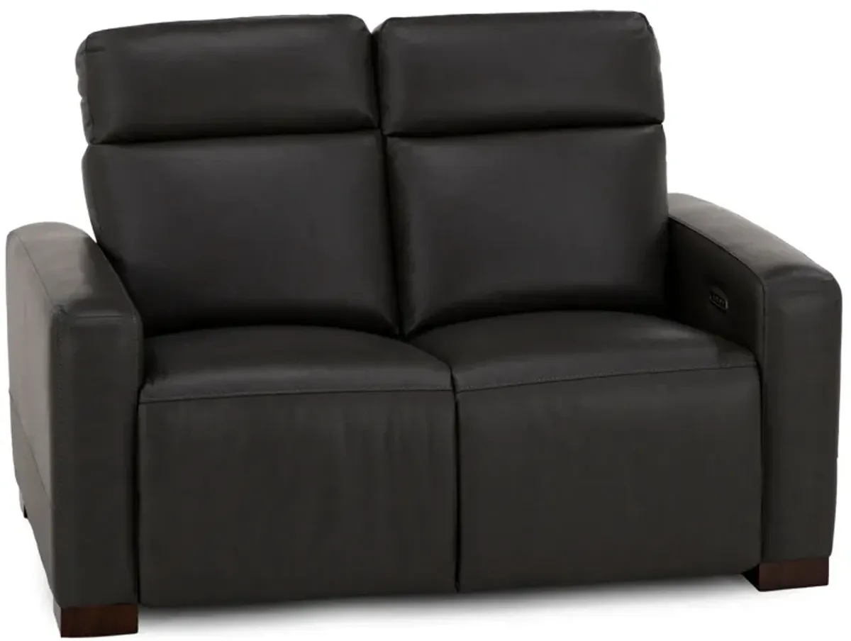 Acadia Leather Power Headrest Zero Gravity Reclining Loveseat in Shitake