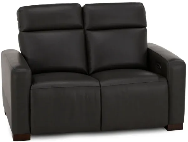 Acadia Leather Power Headrest Zero Gravity Reclining Loveseat in Shitake