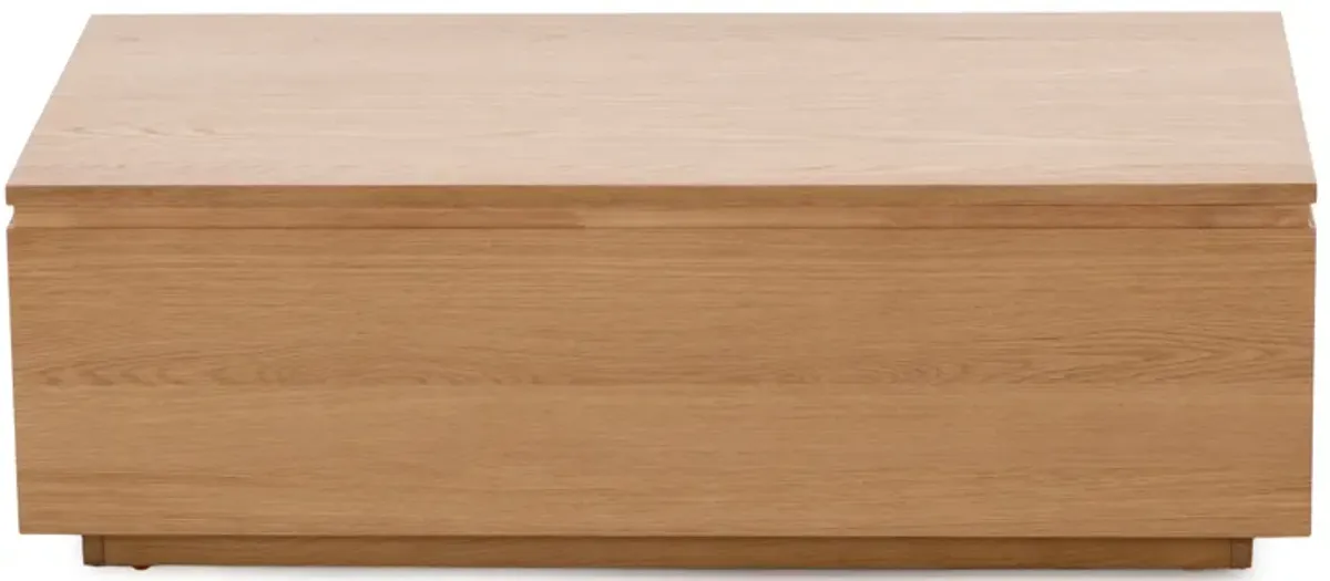 Transformer Coffee Table - Panel Storage