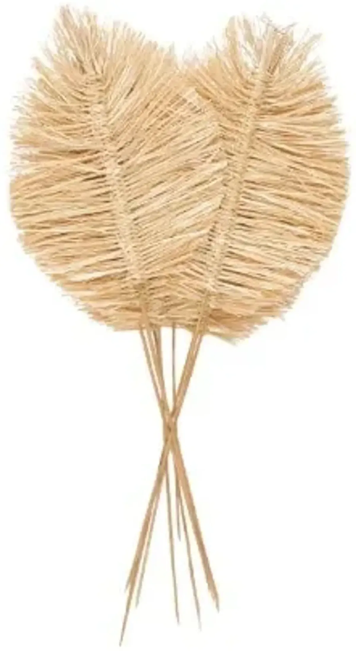 Natural Leaf Spear Stems Bundle 17"W x 32"H