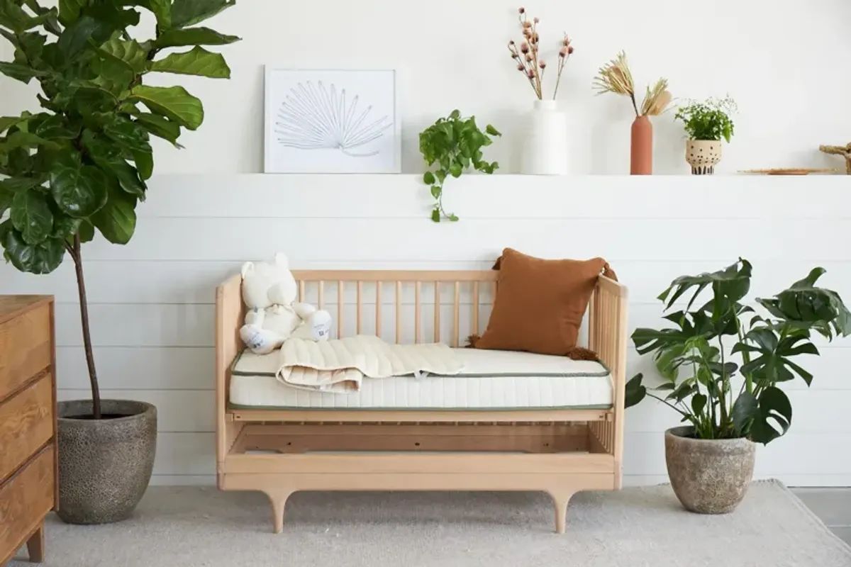 Organic Crib Mattress