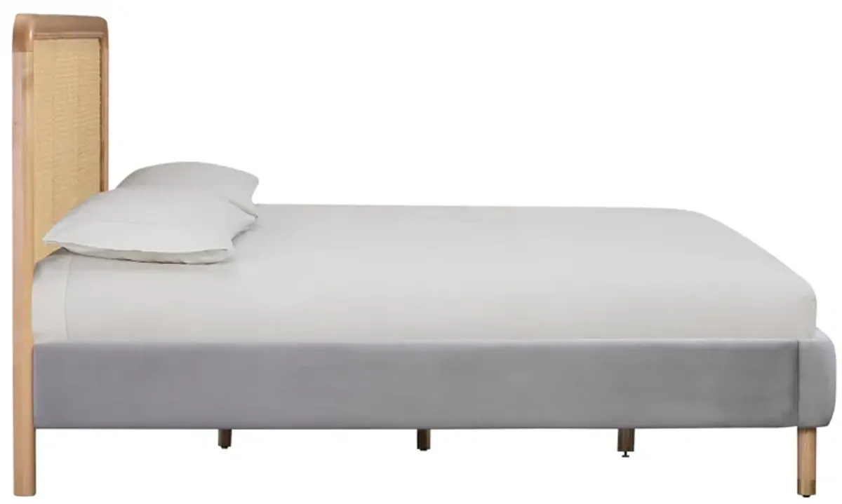 Kavali Grey Velvet King Bed