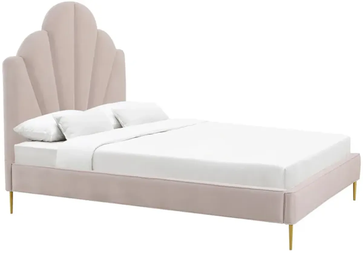 Bianca Blush Velvet Bed in Queen