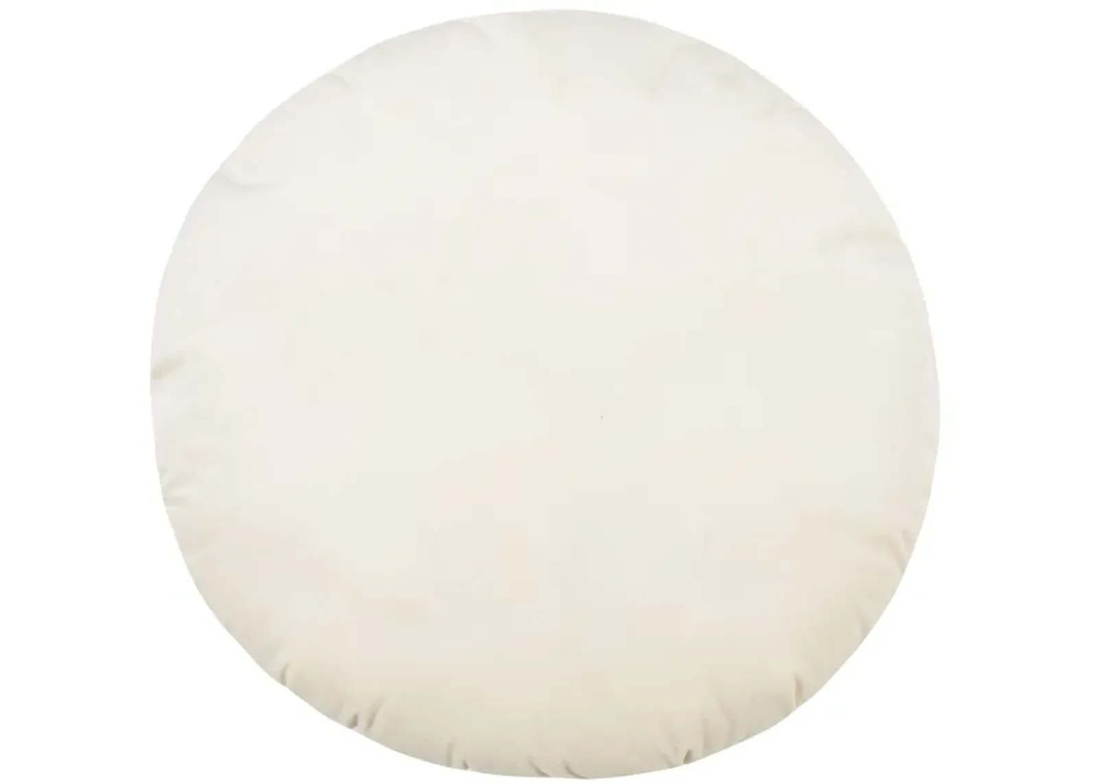 Potter 20 Inch Cream Velvet Pillow