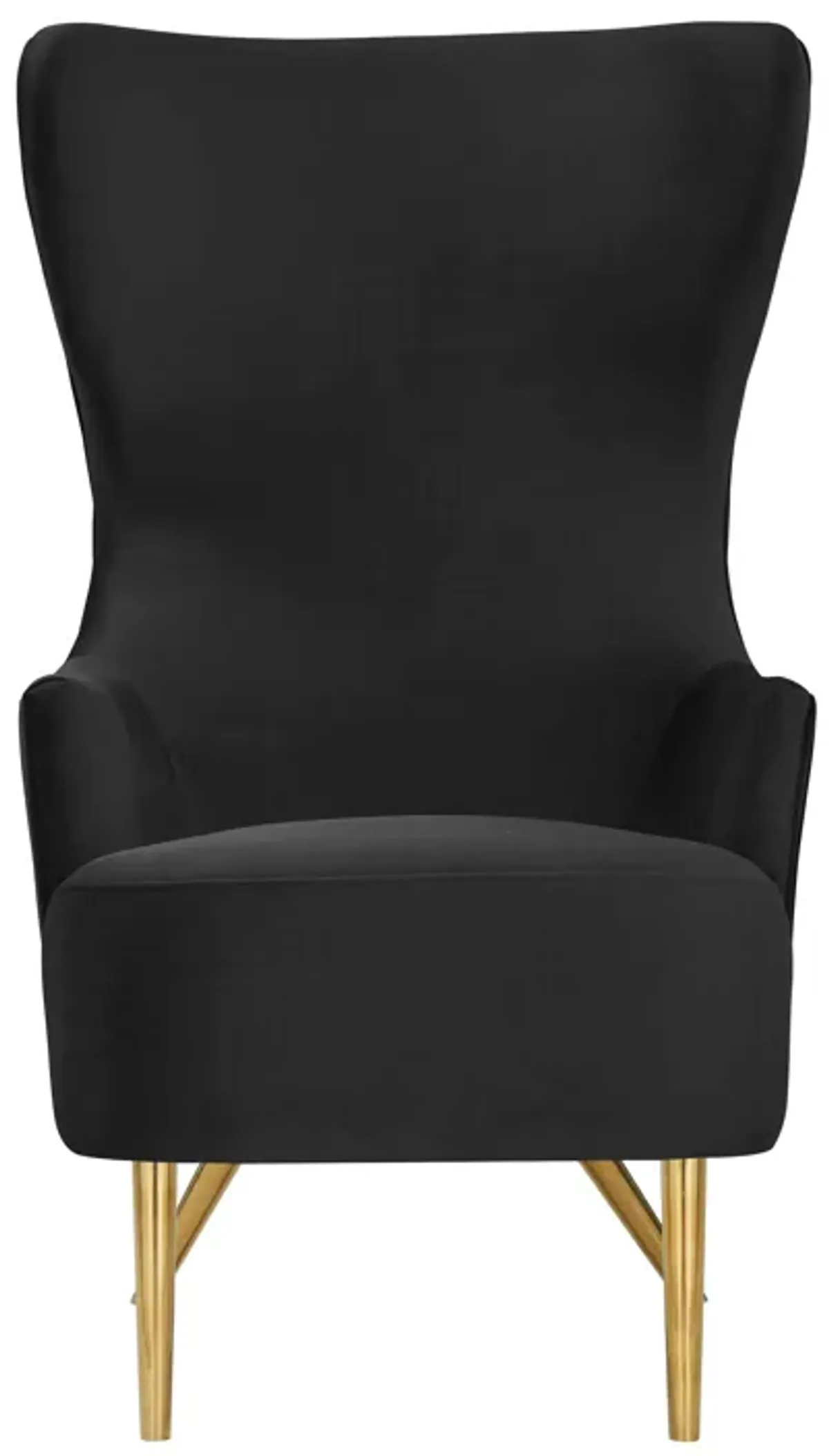 Julia Black Velvet Wingback Chair