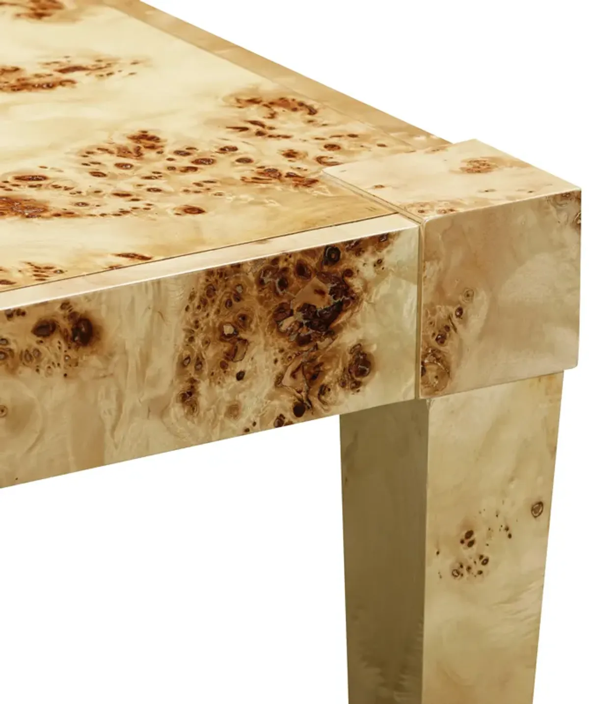 Brandyss Natural Burl End Table