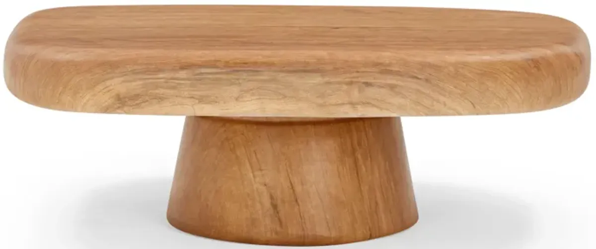 Darial Wood Grain Pattern Indoor/Outdoor Coffee Table