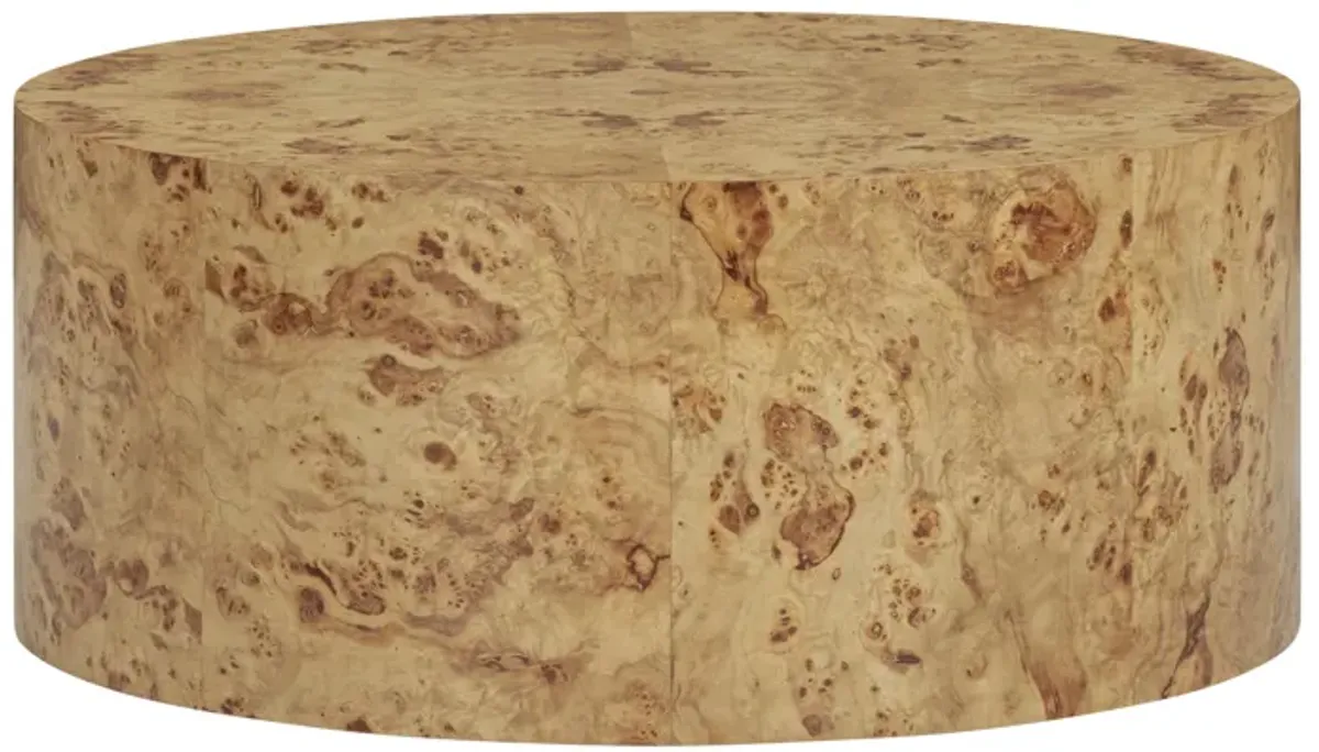 Fig Natural Burl Drum Coffee Table