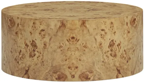 Fig Natural Burl Drum Coffee Table