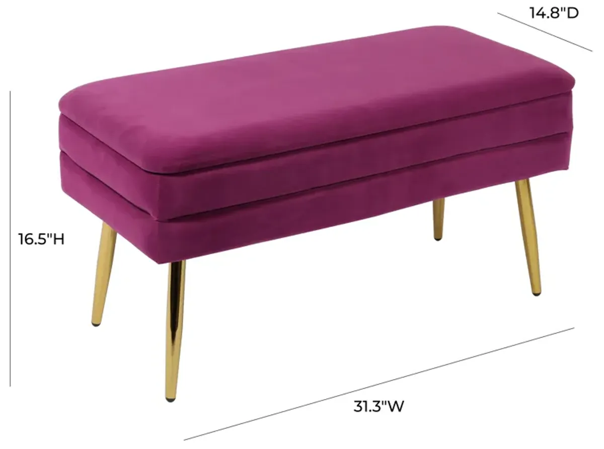 Ziva Plum Velvet Storage Bench