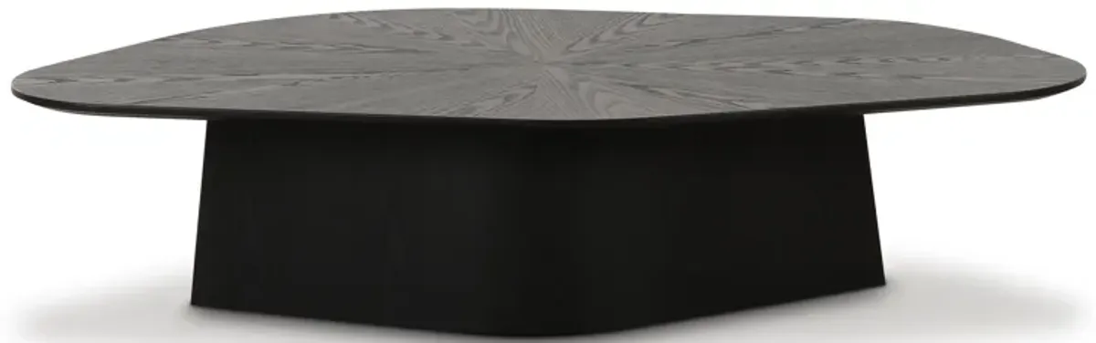 Roche Black Ash Low Coffee Table