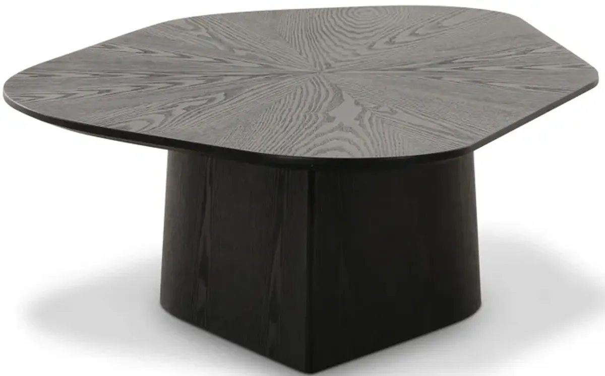 Roche Black Ash Low Coffee Table