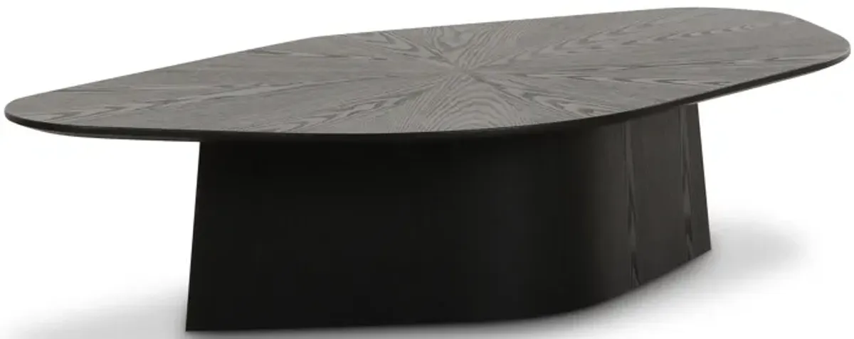 Roche Black Ash Low Coffee Table