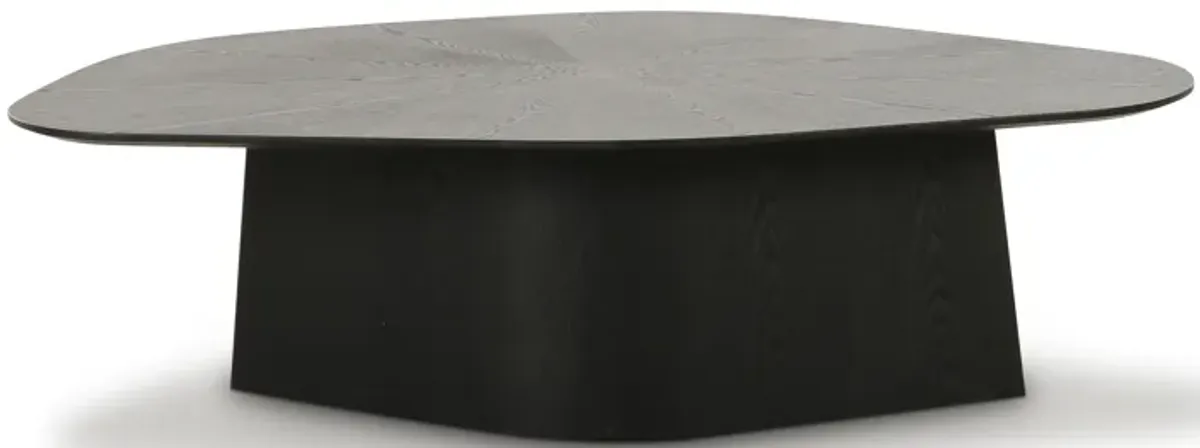 Roche Black Ash Geometric Coffee Table