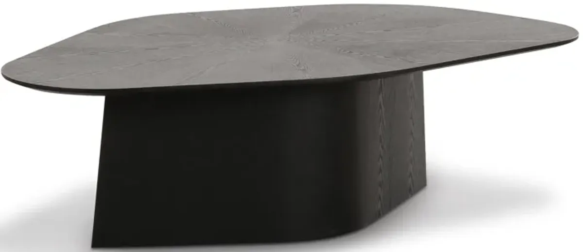 Roche Black Ash Geometric Coffee Table