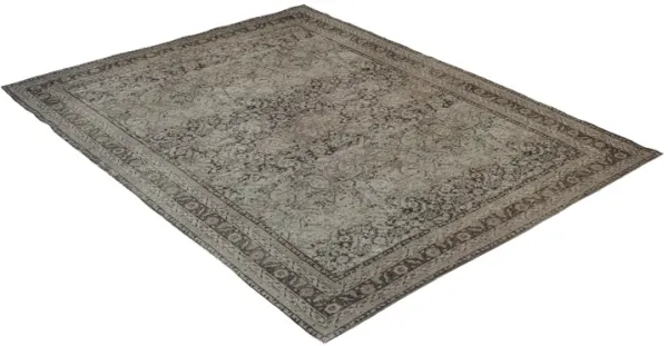 Bluma 7'9" x 10' Area Rug