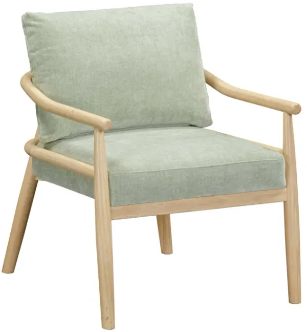 Dixie Mint Green Chenille Velvet Accent Chair