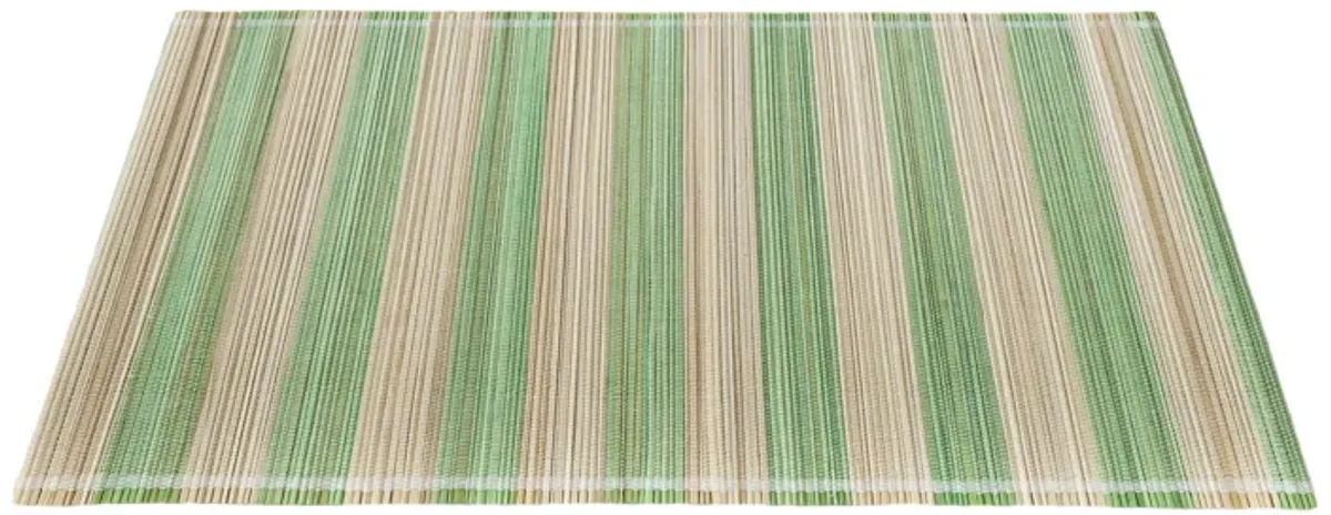 Jora Faded Green Bamboo Placemat - Set of 4