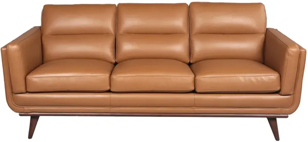 Savita Brown Leather Sofa