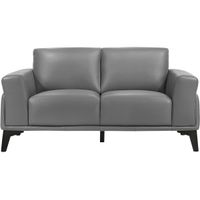 Arezzo Gray Leather Loveseat