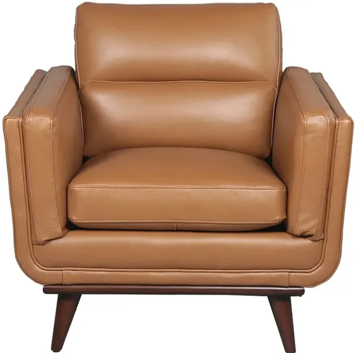 Savita Brown Leather Chair