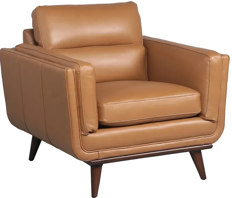 Savita Brown Leather Chair