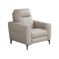 Parkside Heights Gray Leather Power Recliner W/ Power Headrest By Drew & Jonathan
