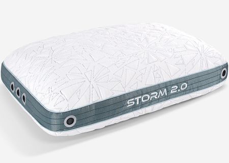 BEDGEAR Storm 23 2.0 Performance Pillow (Back Sleepers)