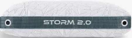 BEDGEAR Storm 23 2.0 Performance Pillow (Back Sleepers)