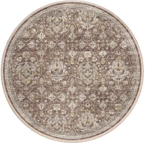 Morella Area Rug