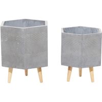 Set Of 2 Rhi Gray Planters