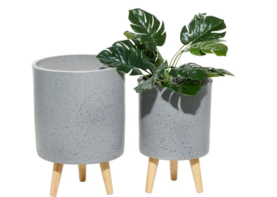 Set of 2 Robyn Gray Planters