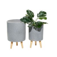 Set of 2 Robyn Gray Planters