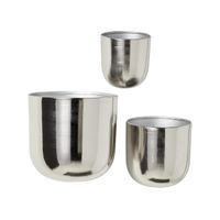 Set of 3 Santoya Sliver Wall Planters