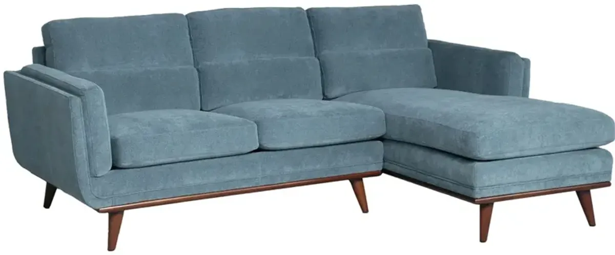 Savita Blue 2 Pc. Sectional