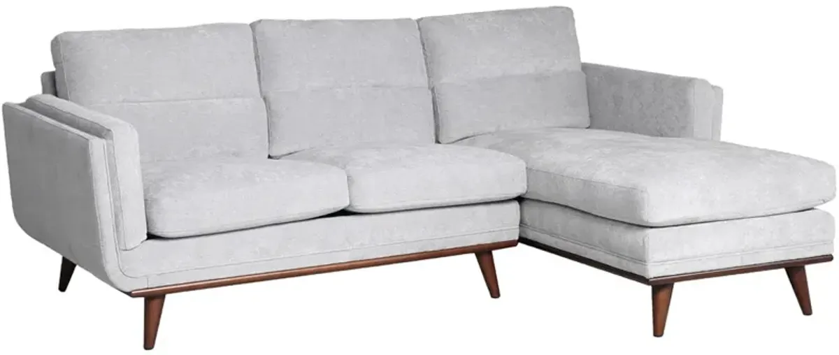 Savita Gray 2 Pc. Sectional