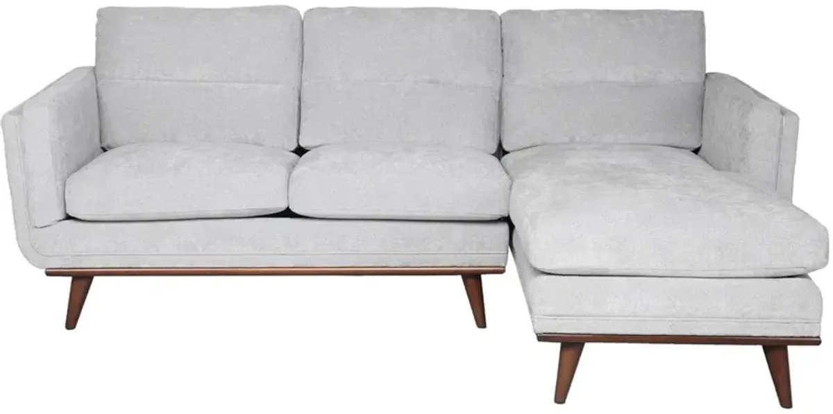 Savita Gray 2 Pc. Sectional