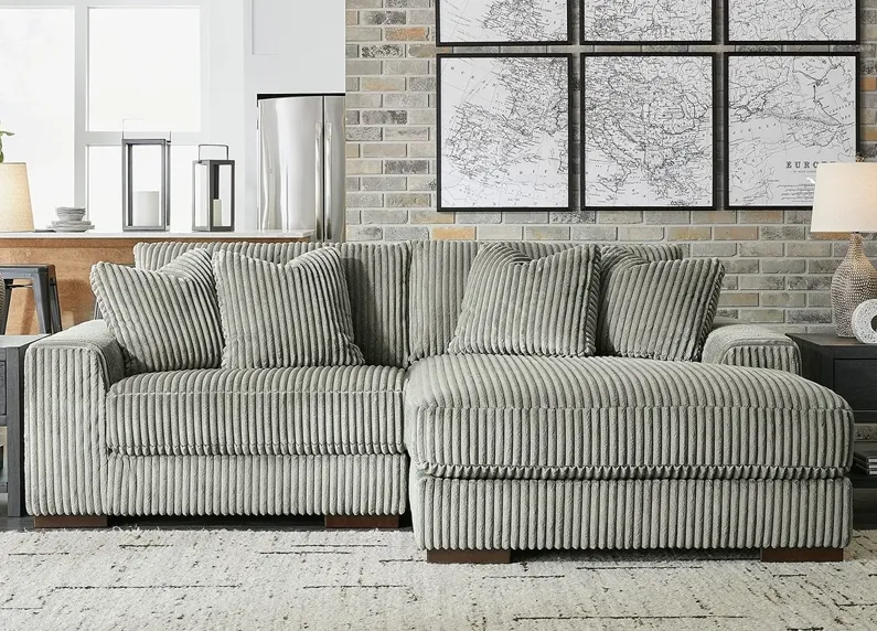 Dolly Gray 2 Pc. Sectional W/ Chaise
