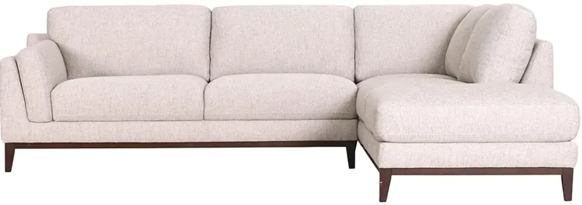 Cashel 2 Pc. Sectional