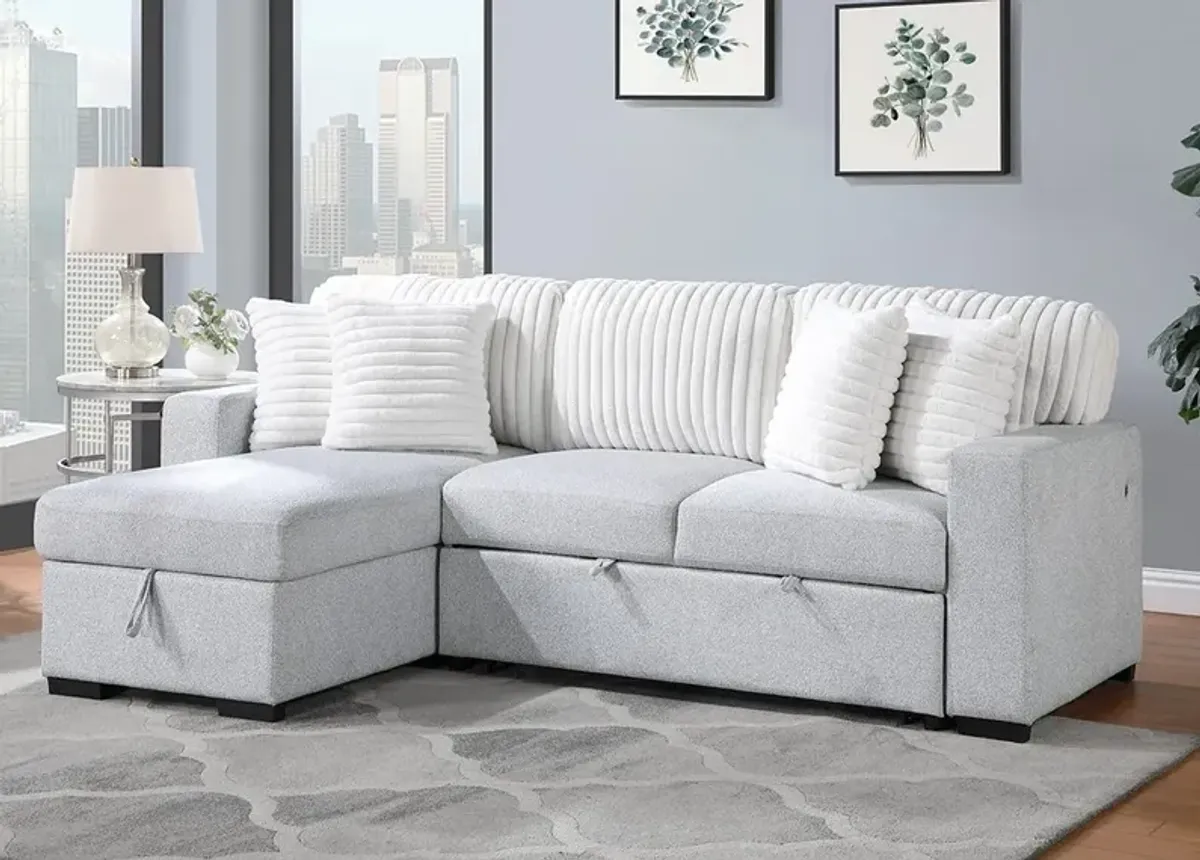 Deigh White 2 Pc. Sleeper Sectional W/ Reversible Storage Chaise