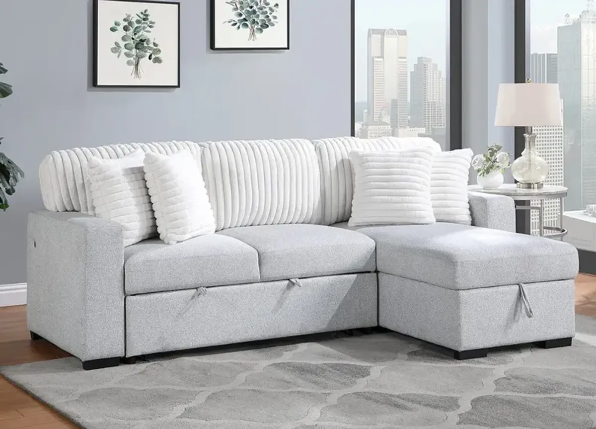 Deigh White 2 Pc. Sleeper Sectional W/ Reversible Storage Chaise