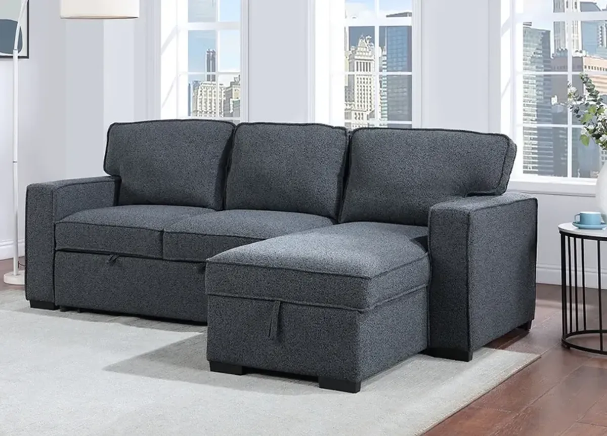 Dean Black 2 Pc. Sectional W/ Sofa Sleeper & Reversible Storage Chaise