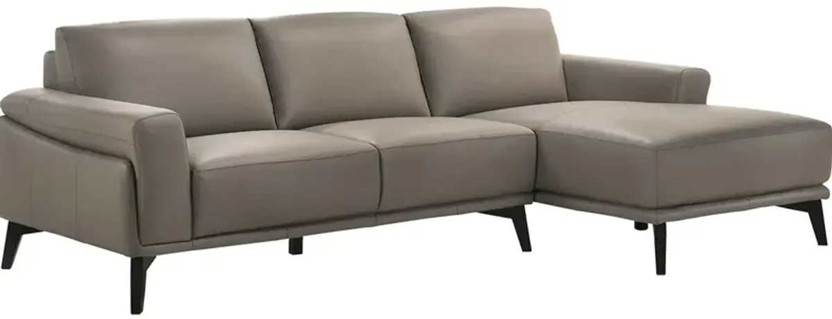 Arezzo Gray 2 Pc. Leather Sectional