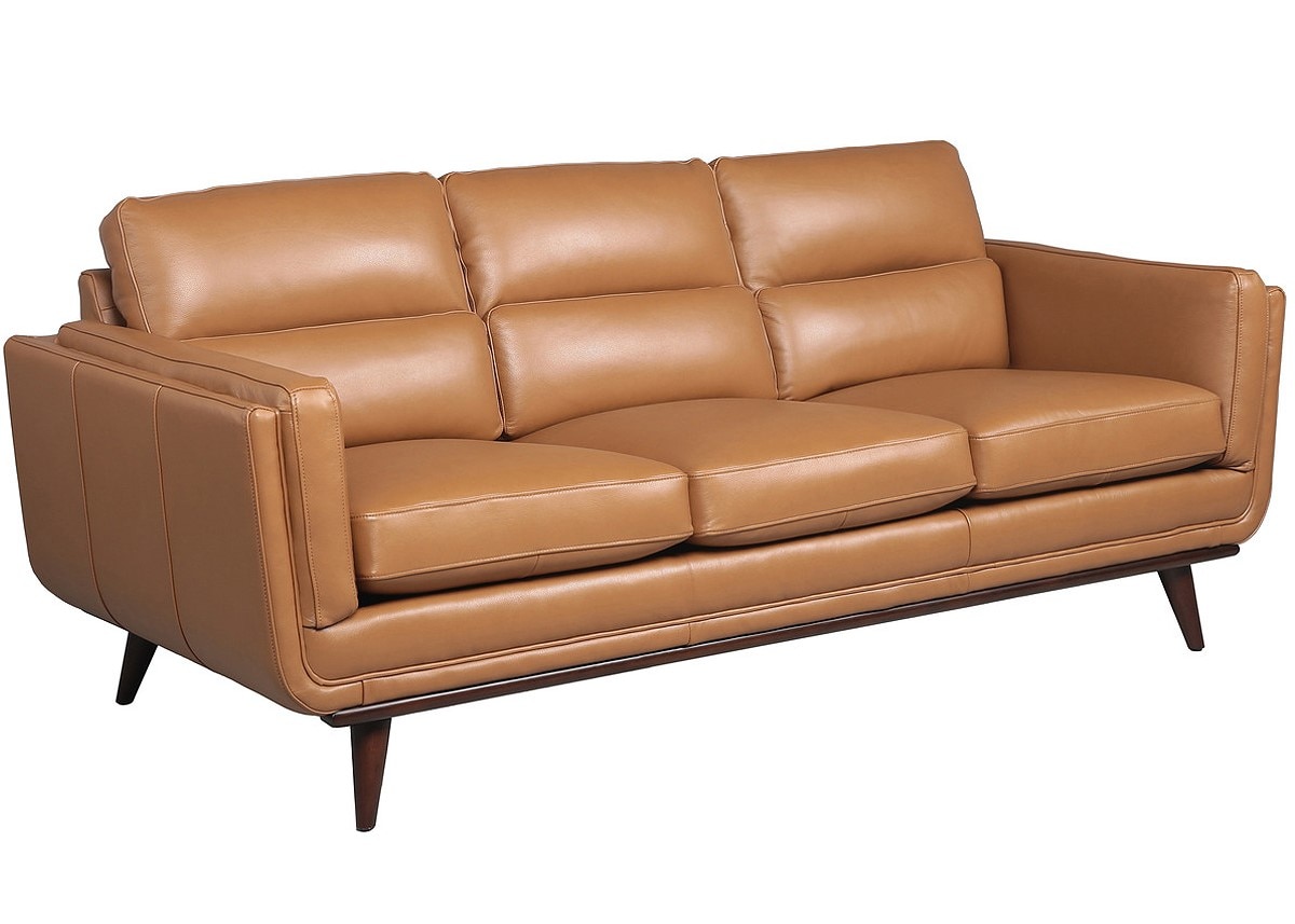 Savita Brown Leather 2 Pc. Living Room