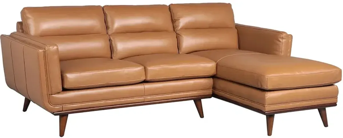 Savita Brown Leather 2 Pc. Sectional