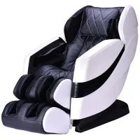 Enlighten Black and White Massage Chair
