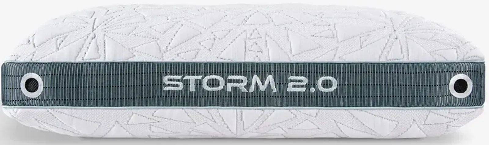 BEDGEAR 2-Pack Storm 23 2.0 Performance Pillows (Back Sleepers)