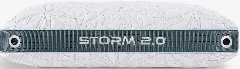 BEDGEAR 2-Pack Storm 23 2.0 Performance Pillows (Back Sleepers)