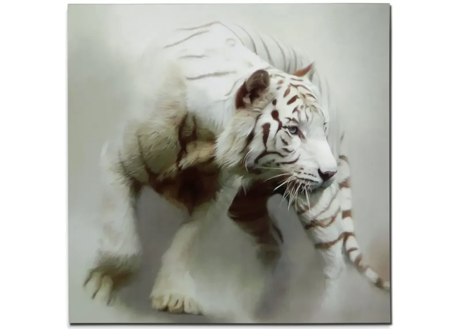 White Tiger 48'' x 48'' Wall Art